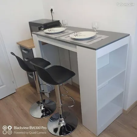 Joli Studio Meuble 16m2 Avec Terrasse 10m2